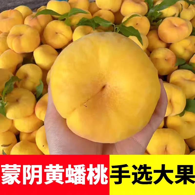蒙阴蜜桃水蜜桃夏日水果当季整箱现黄毛桃奶油黄肉扁桃