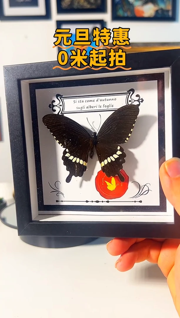 有机玻璃8764466798