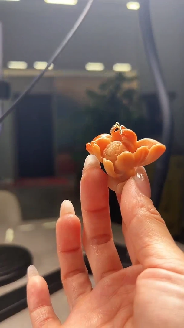 翡翠未镶嵌颈饰一品清廉