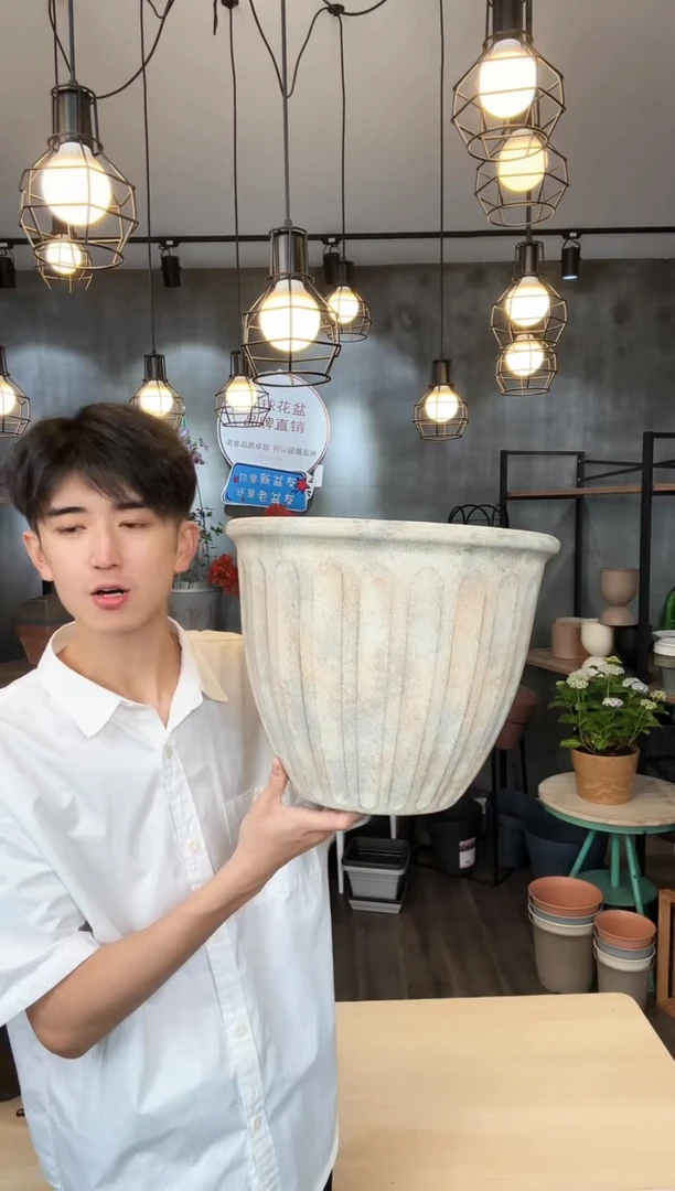 14.5寸瓦尔纳画眉白2只无孔