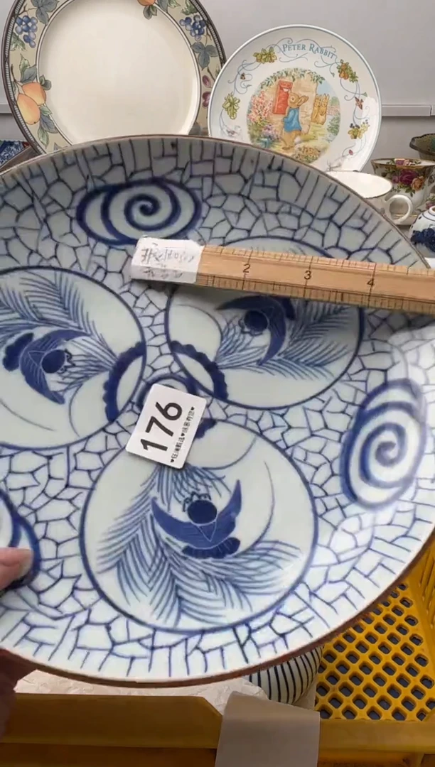 瓷片婷*菌      176