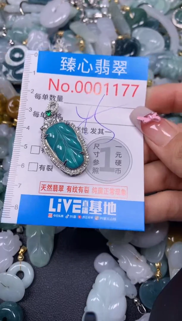 【闪购商品】翡翠颈饰未镶嵌含绳0001177