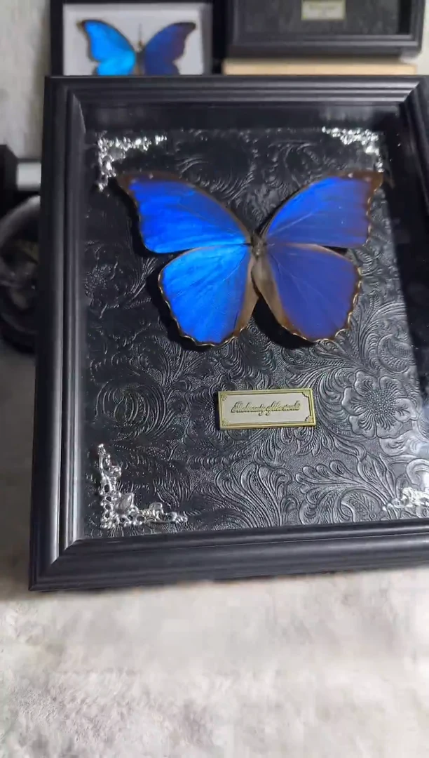 有机玻璃大蓝闪蝶A1