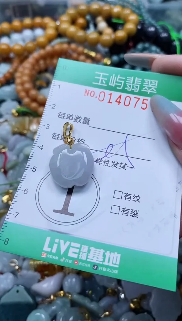 翡翠未镶嵌颈饰闪购0140757多样性发其一