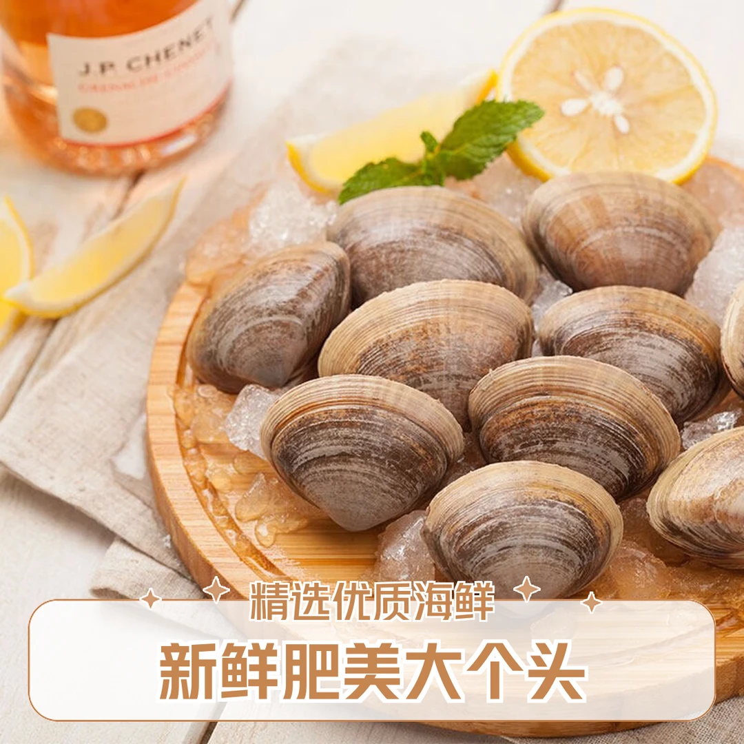 【98%净沙】丹东特大黄蚬子4斤净重鲜活发货（ 18-25头/斤 ）95%-98% 无沙