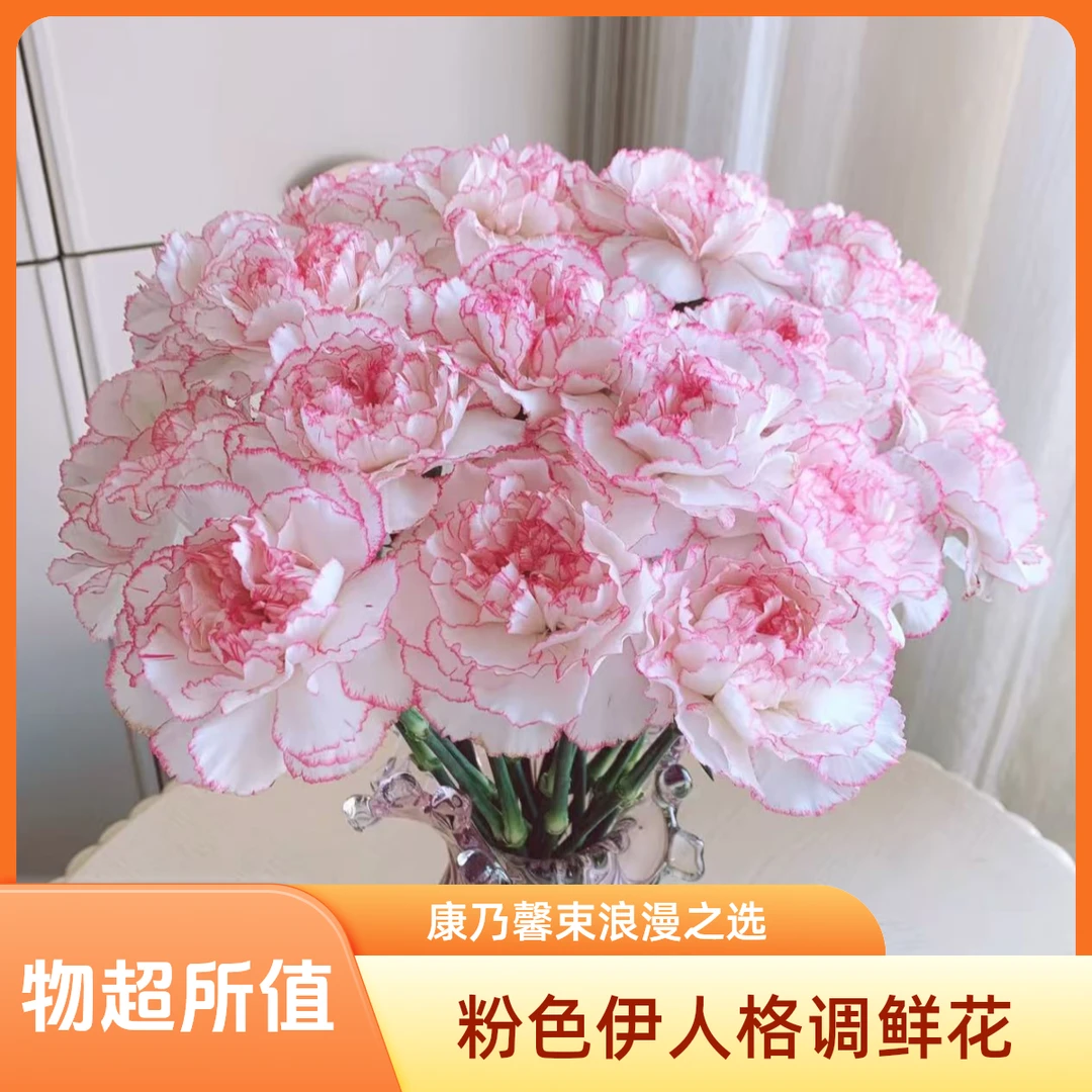 【1枝粉色小天使伊人康乃馨】～全店满35元包邮～生活鲜花居家花