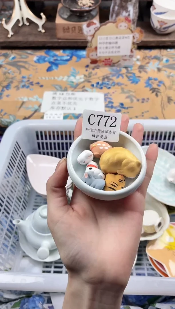 瓷片                C772