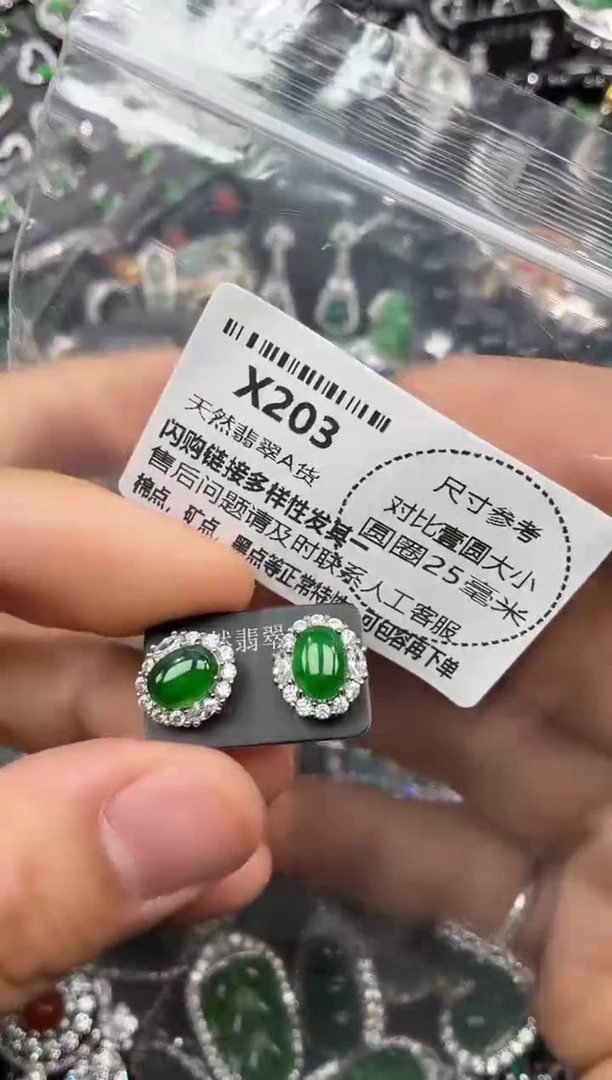 颈饰未镶嵌翡翠X203耳钉