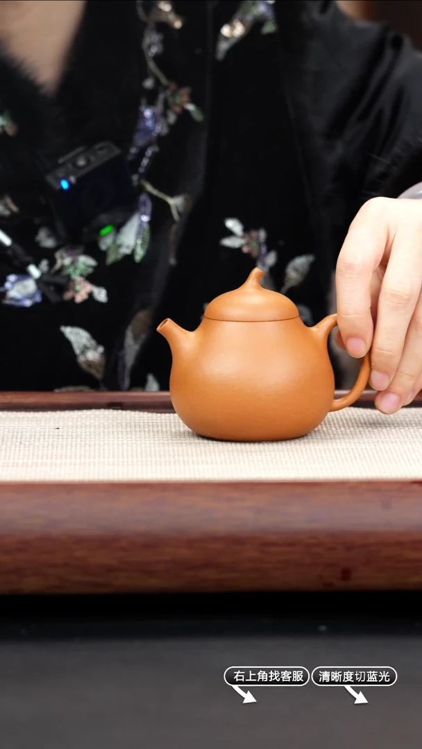 【闪购商品】紫砂茶壶44号段泥【茄瓜】180cc