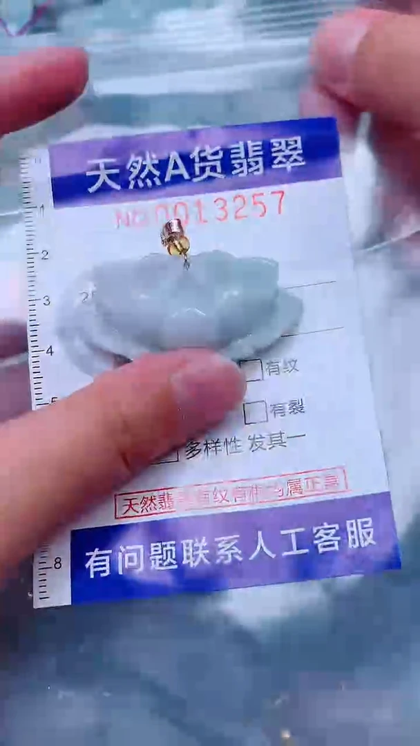 吊坠(不含链)未镶嵌翡翠1