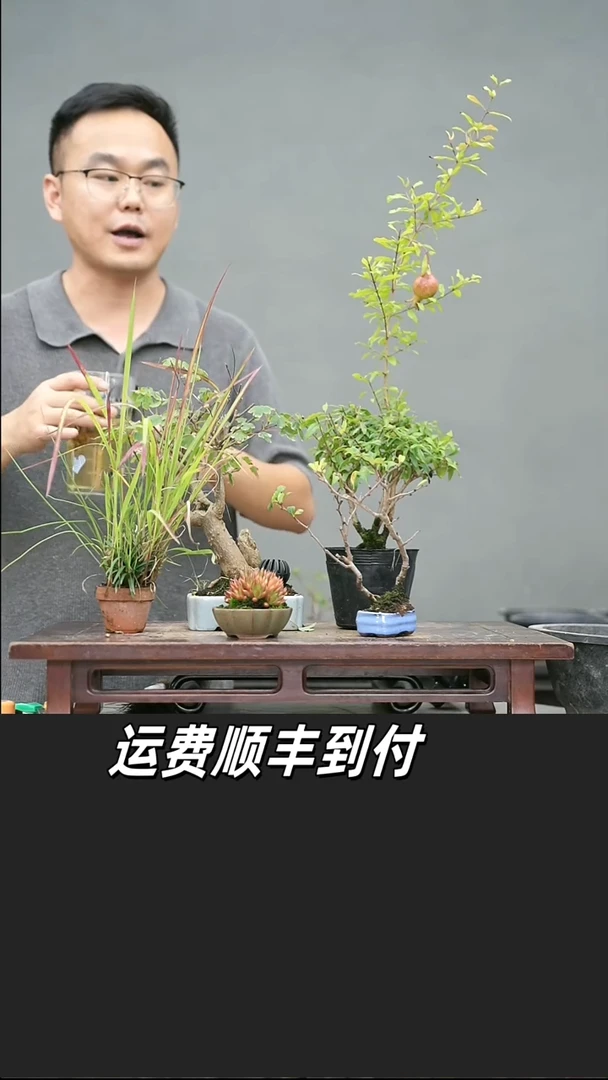 成***园1