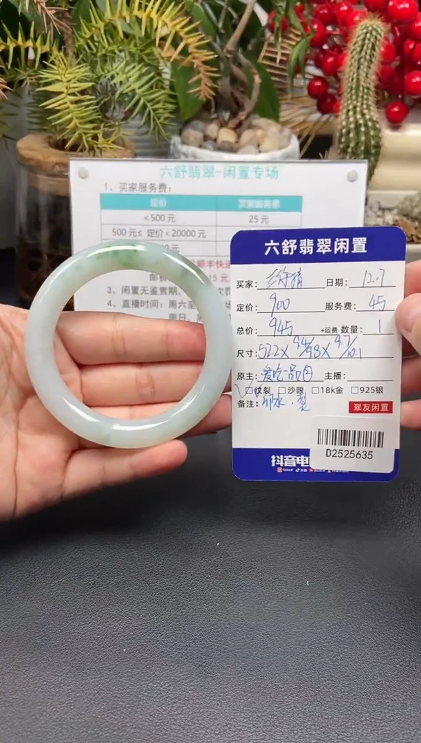 未镶嵌手镯翡翠?****猜D2525635