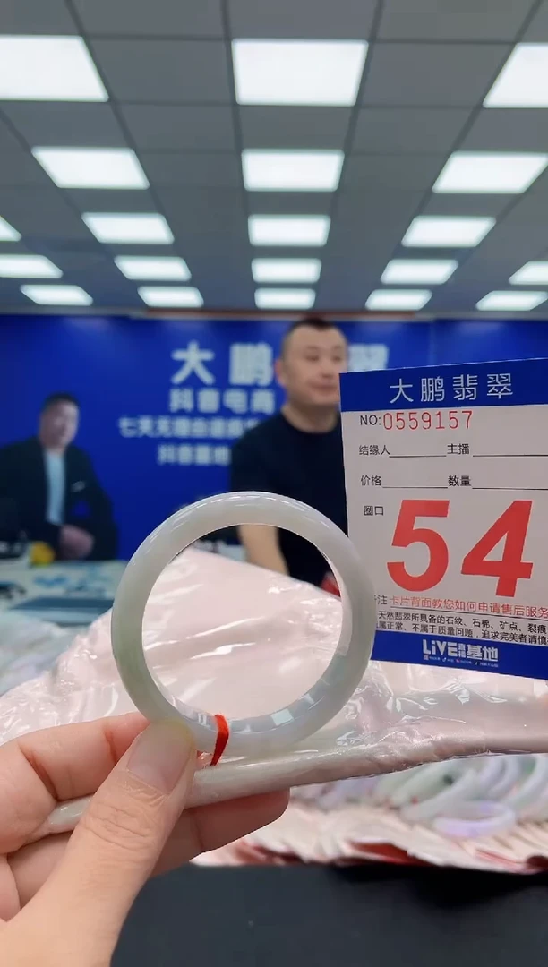 未镶嵌手镯翡翠AAAAAAAAA