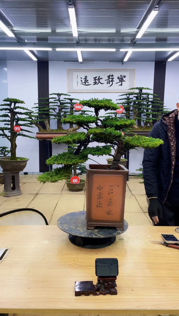 【闪购商品】00000000000