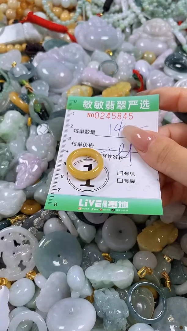 翡翠未镶嵌颈饰闪购0245845多样性发其一