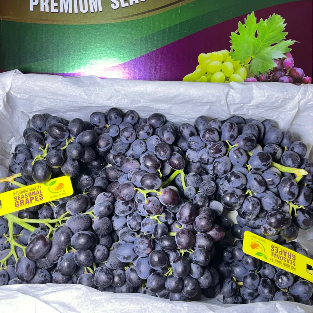 【初恋梦境~高甜浓香】小虎鲸智利进口初恋梦境无籽黑提