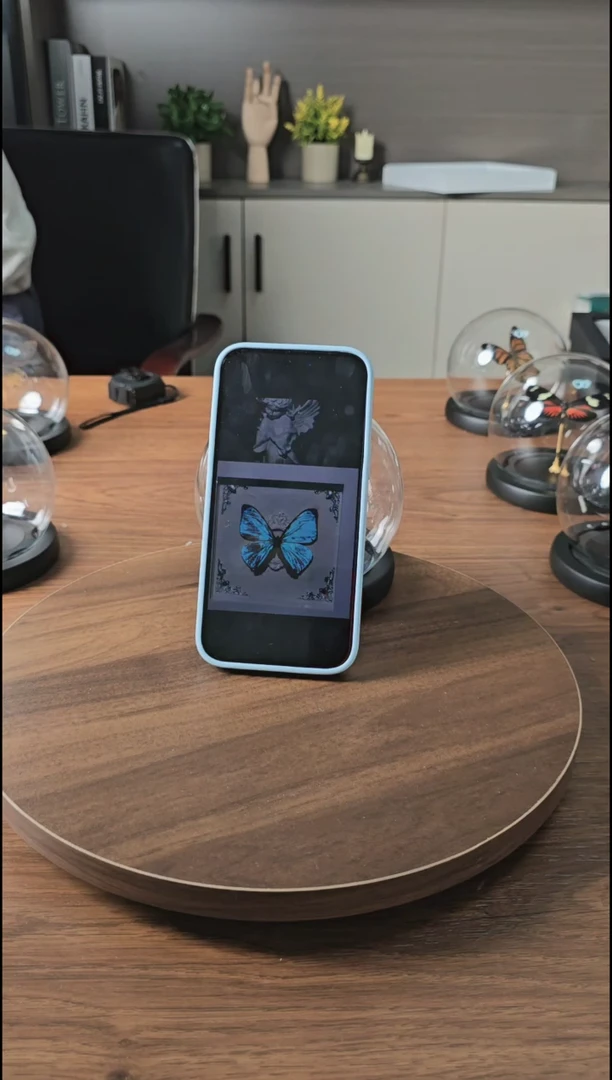 夜明珠真实蝴蝶标本送朋友