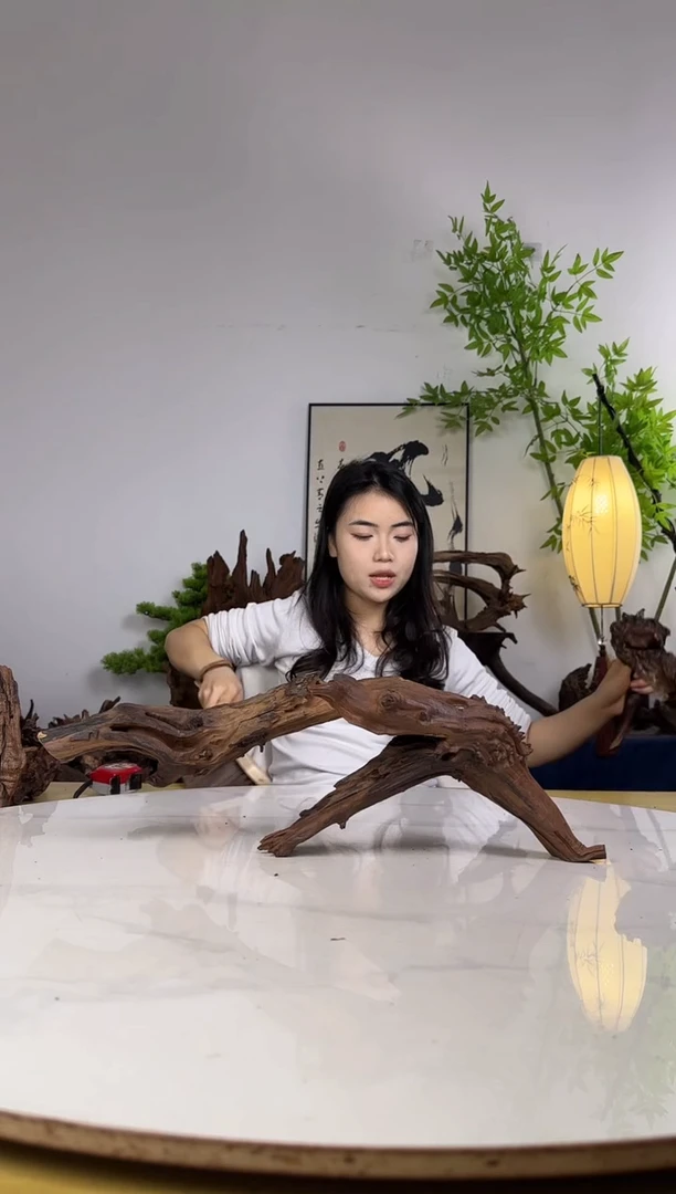 孟**事拍沉木定向链接编号36