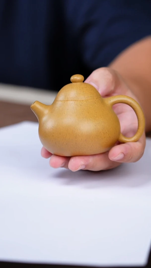 茶壶紫砂大*565656565