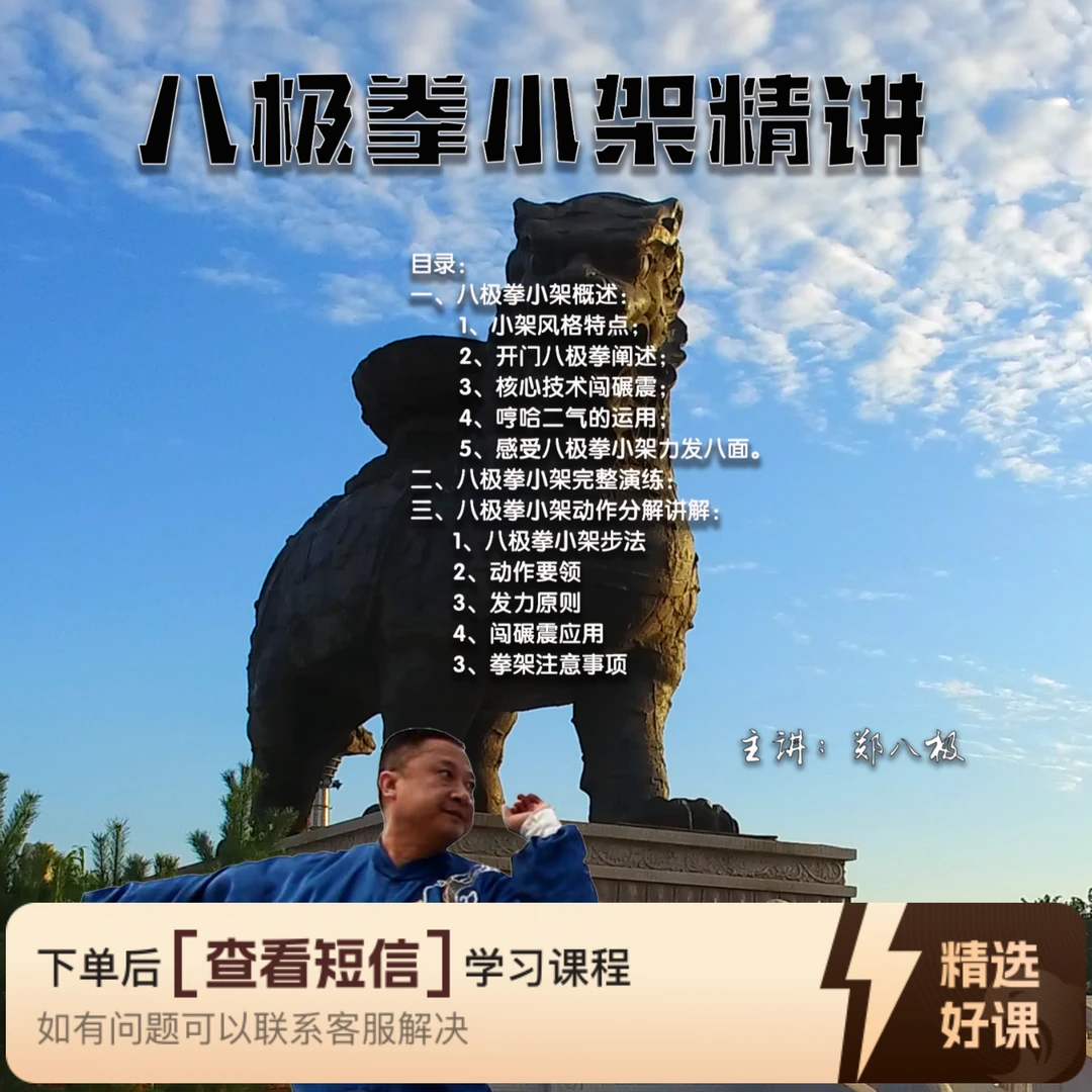 八极拳小架精讲课程（留意短信解锁课程）
