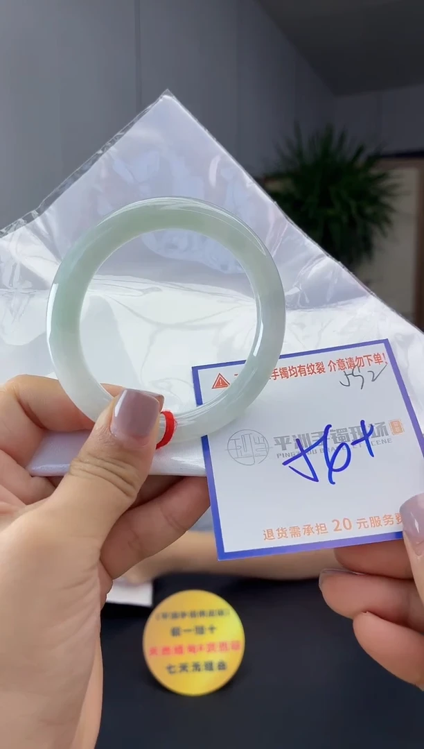 未镶嵌手镯翡翠111111111111
