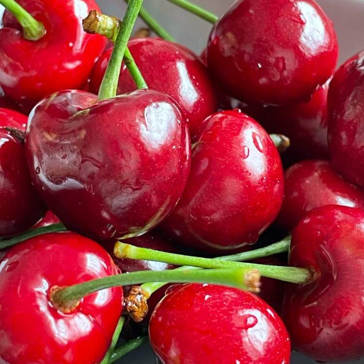顺丰次日达 大樱桃  味道浓厚  顺丰包邮5斤装（净重约4.5斤）顺丰包邮  JJJ 山东红樱桃