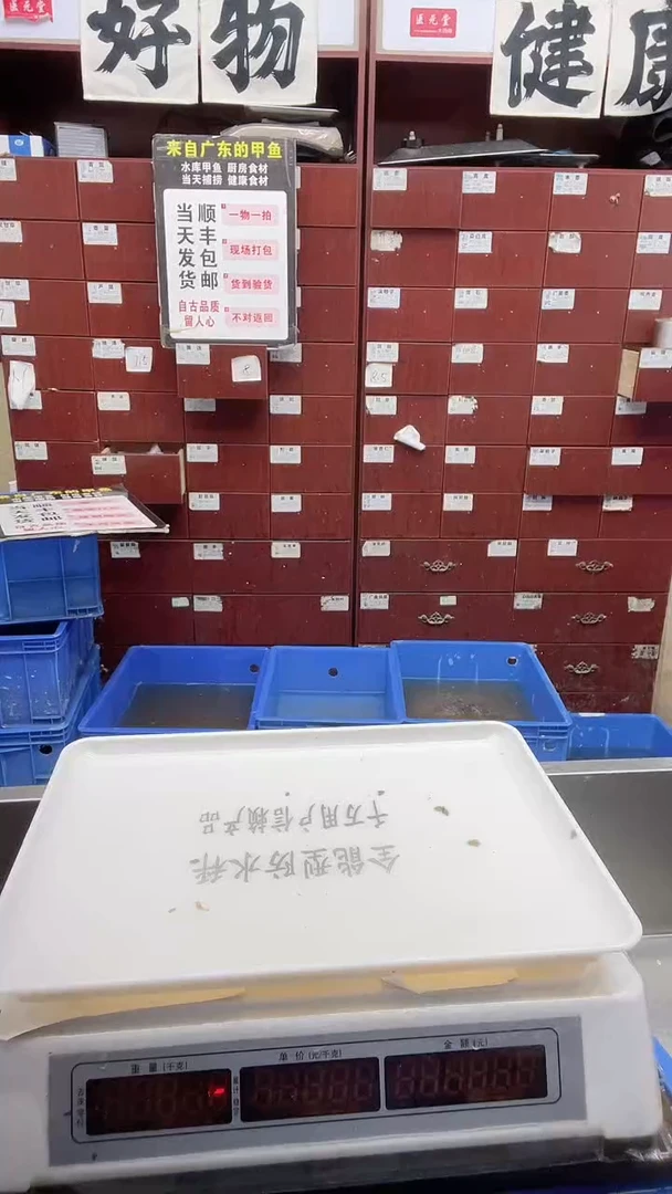 中国大陆实***站18.3斤一只