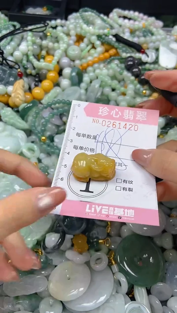 翡翠未镶嵌颈饰闪购0261420