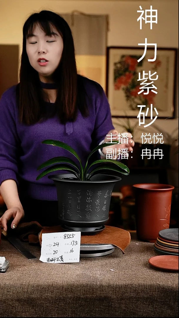 紫砂花盆花卉工艺8555+z