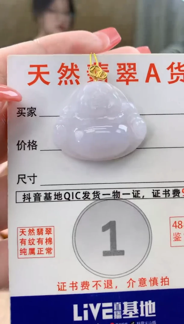 颈饰未镶嵌翡翠 天然A货翡翠挂件