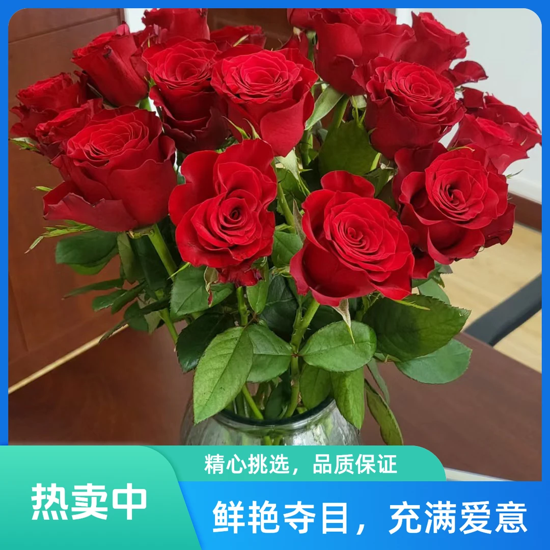 红玫瑰  今日下单明天送哒