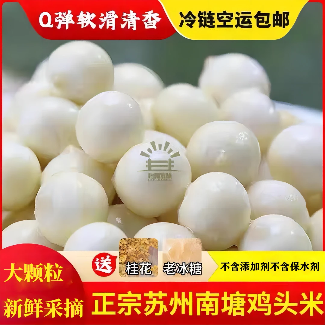 苏州大颗粒鸡头米】新鲜采摘芡实农产品软糯清香现摘现发2斤/1斤