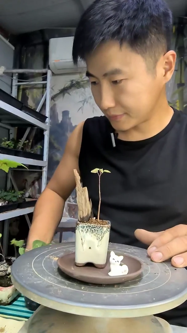 。*中青园艺一物一拍185