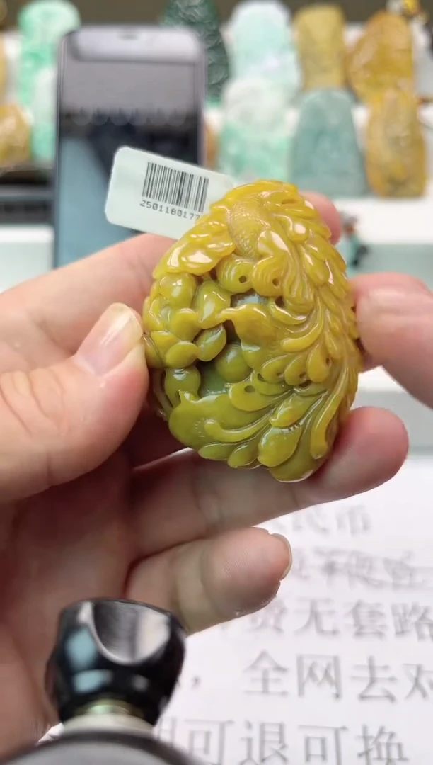 【闪购商品】翡翠颈饰未镶嵌天然翡翠