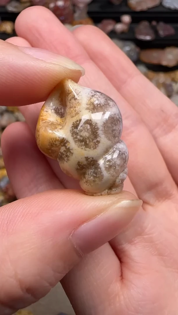 硅化珊瑚（珊瑚玉）未镶嵌颈饰546