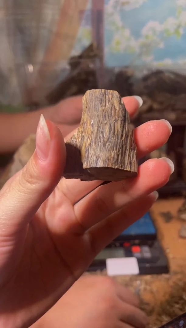 沉香沉香碎屑白棋41