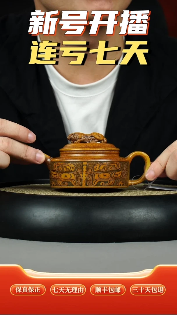 茶壶紫砂龙骨金砂柴烧卧虎藏龙刻绘周盘