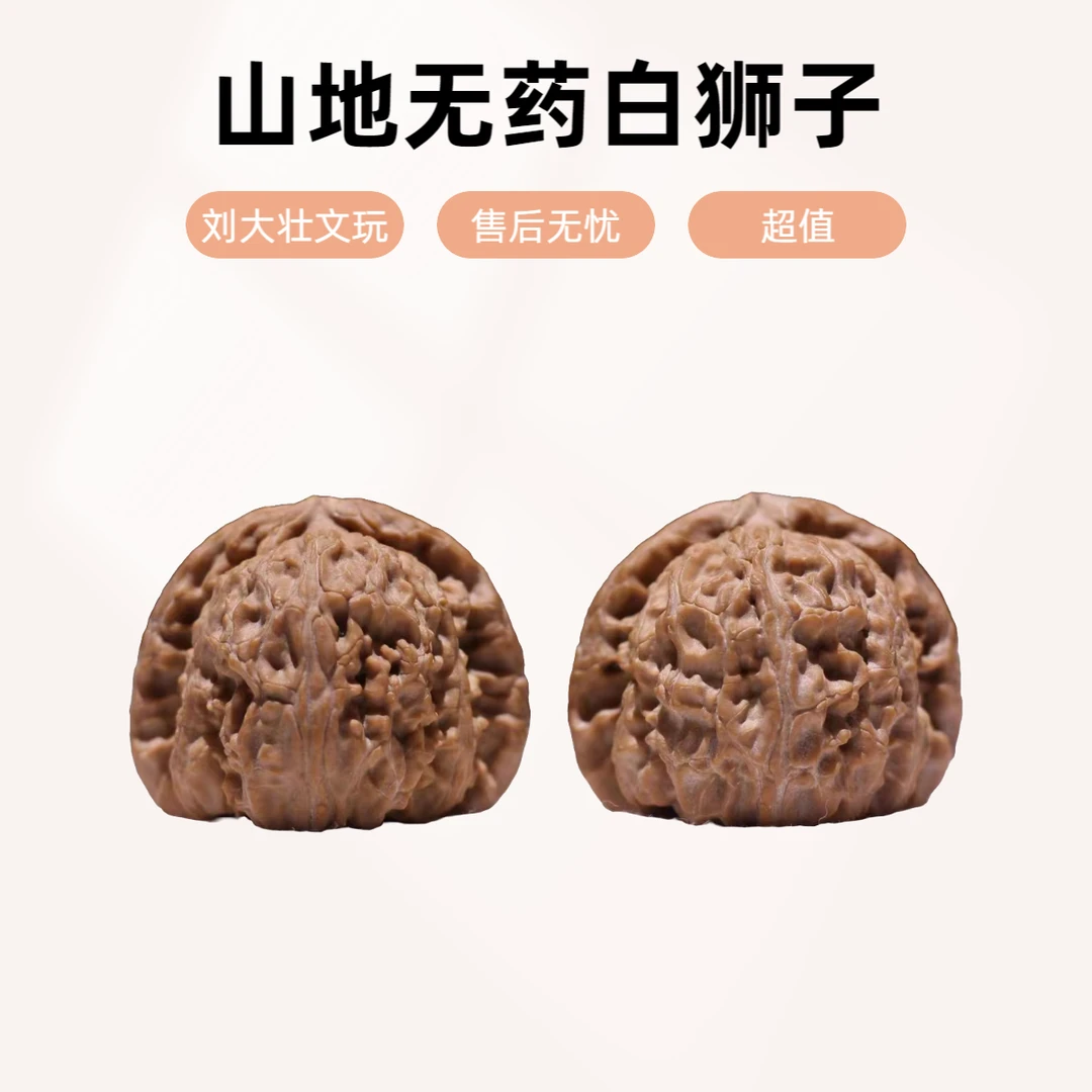 蓟县山地无药【白狮子】文玩核桃