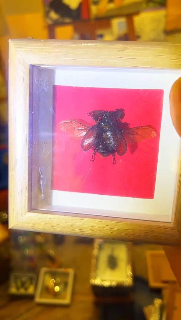 有机玻璃253468168681