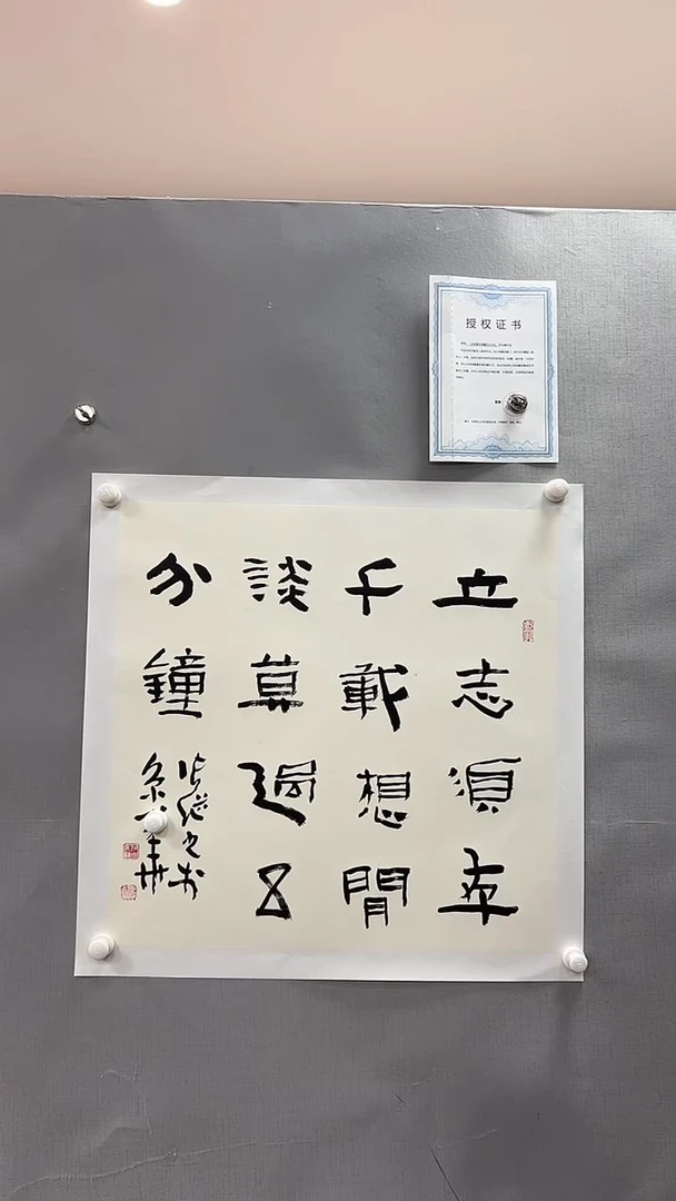 【闪购商品】书法雅艺典藏文化书法