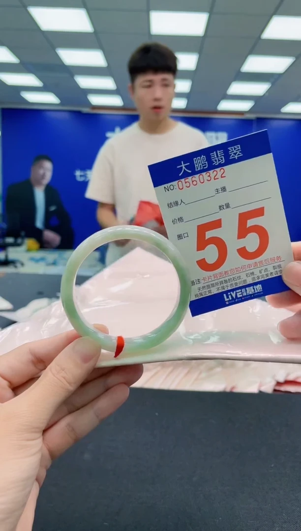未镶嵌手镯翡翠AAAAAAAAA