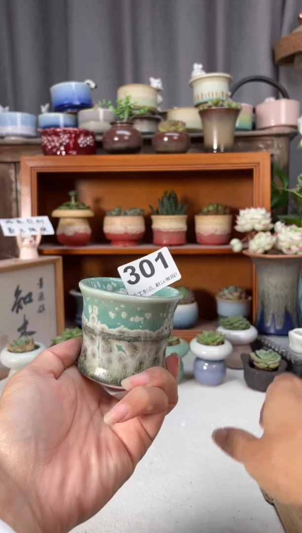 瓷片301知木小芳花盆直播编号