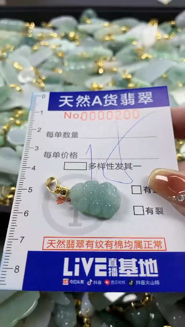 颈饰未镶嵌翡翠天然A货翡翠