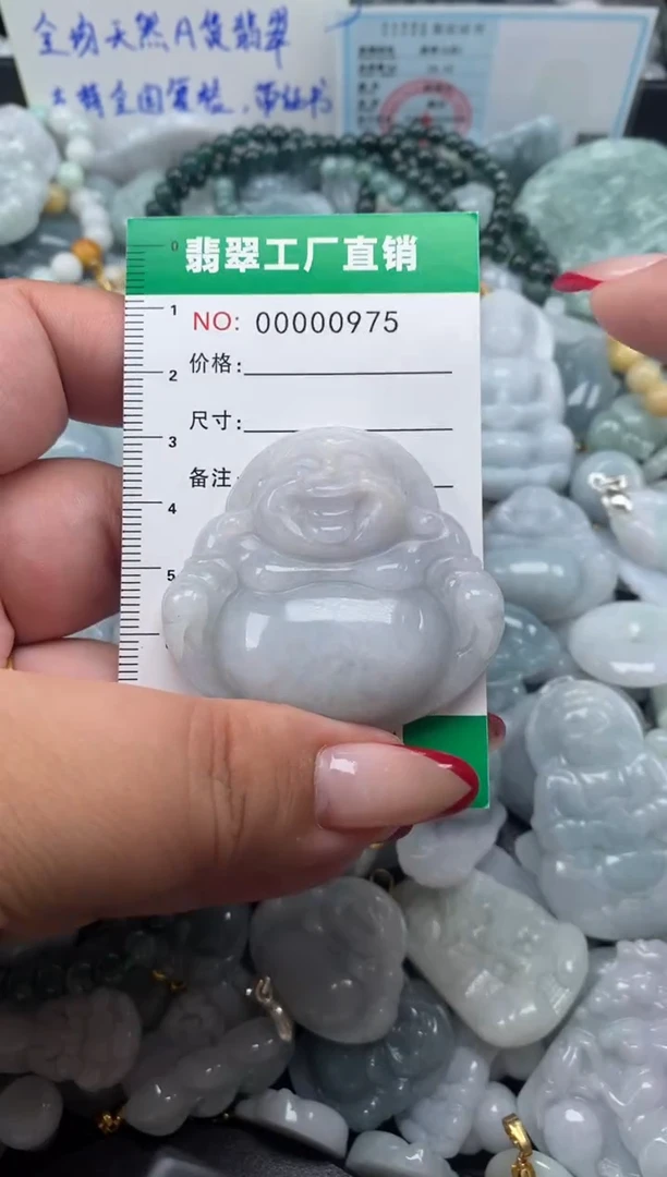 翡翠未镶嵌颈饰天然A货翡翠0975