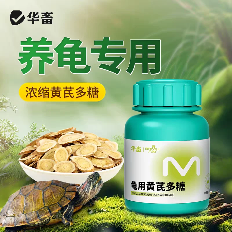 华畜黄芪多糖辅助治疗巴西草龟鳄龟感冒拉稀精神不好调理肠胃龟用