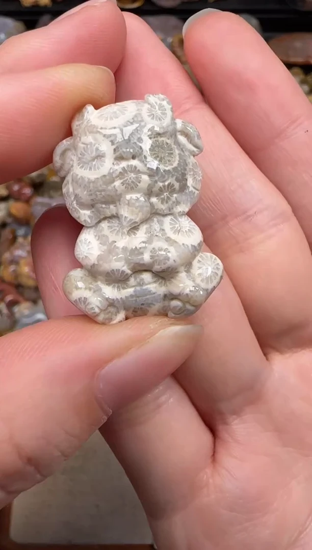 硅化珊瑚（珊瑚玉）未镶嵌颈饰426