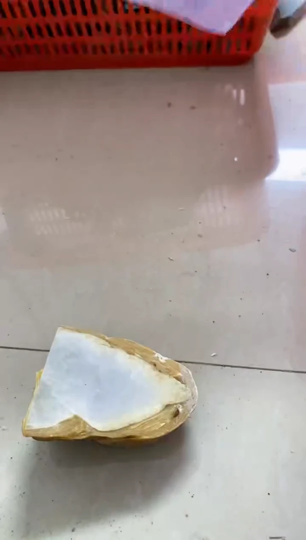 【闪购商品】翡翠颈饰未镶嵌139天然翡翠