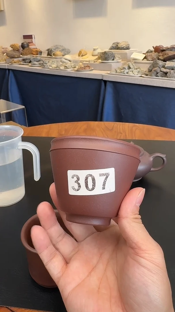 茶壶紫砂307杯子