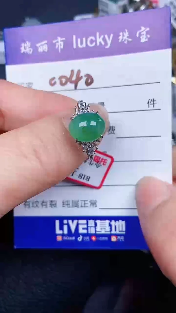 颈饰银S925镶嵌翡翠0040