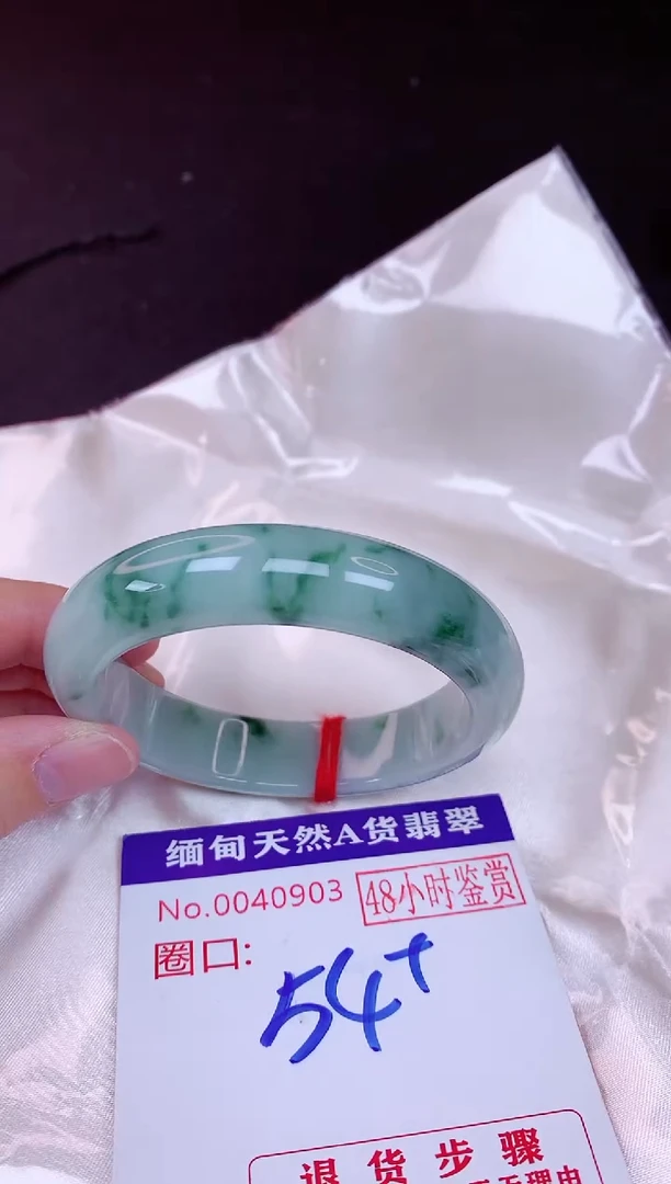 未镶嵌手镯翡翠54（48小时鉴赏期 ）完美者勿拍